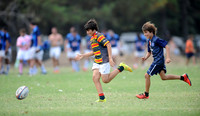 LOMAS VS GEBA