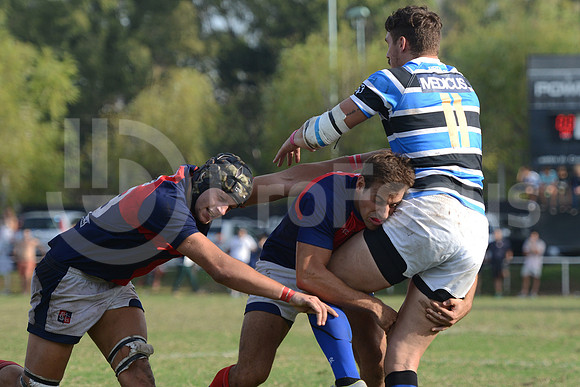 URBA  2015