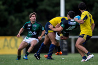 LA PLATA vs TUCUMAN RUGBY