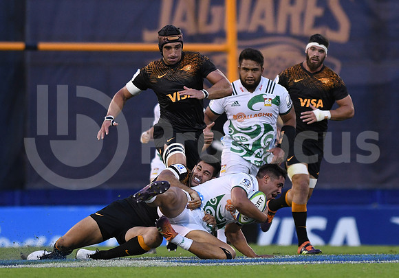 Super Rugby 2019