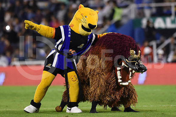 Super Rugby 2017