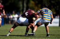 HINDU vs NEWMAN 23-03-2019