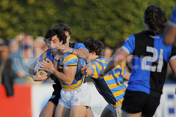 URBA TOP 14
