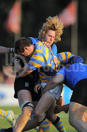 URBA TOP 14