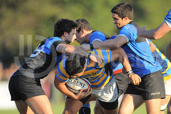 URBA TOP 14
