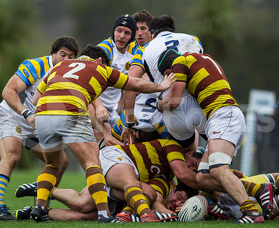 URBA TOP 14 2013