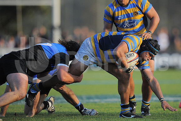 URBA TOP 14