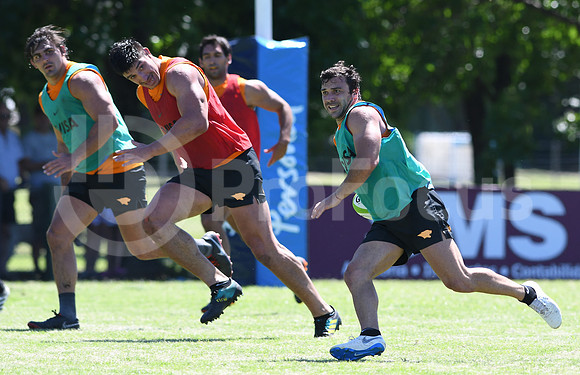 Pretemporada Jaguares 2019