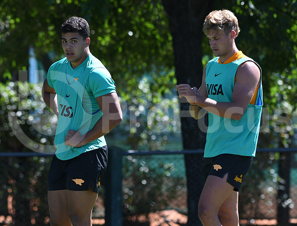 Pretemporada Jaguares 2019