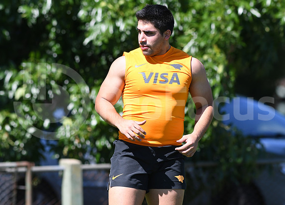 Pretemporada Jaguares 2019