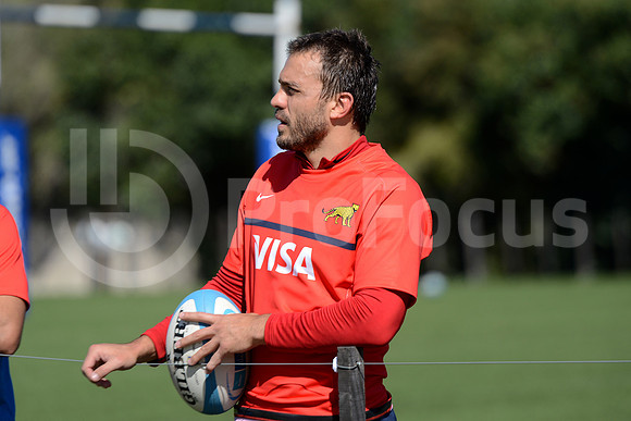 Rugby Championship 2014.
