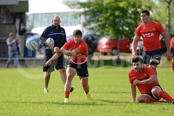 Rugby Championship 2014.