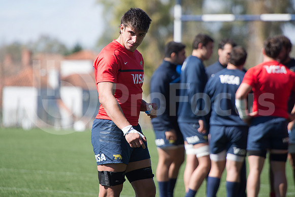 Rugby Championship 2014.