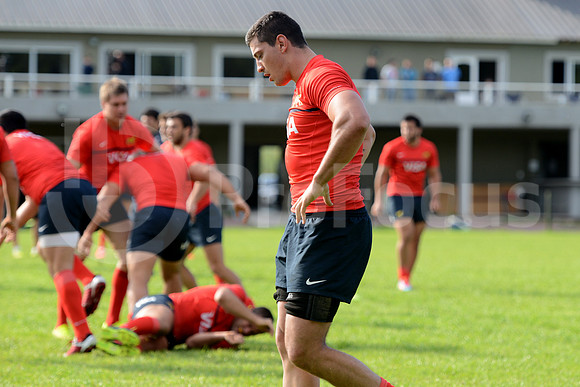 Rugby Championship 2014.