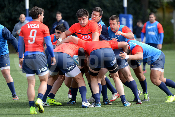 Rugby Championship 2014.