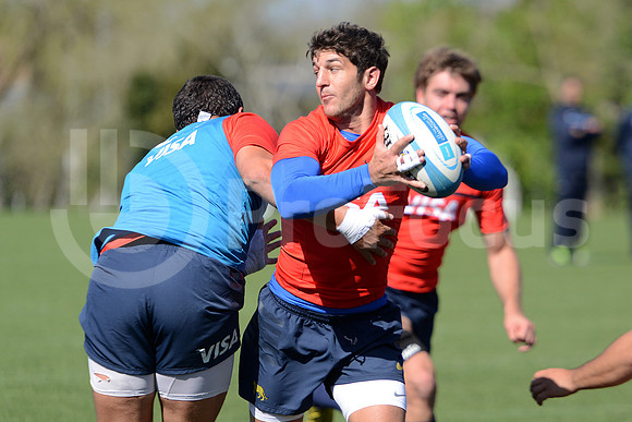 Rugby Championship 2014.