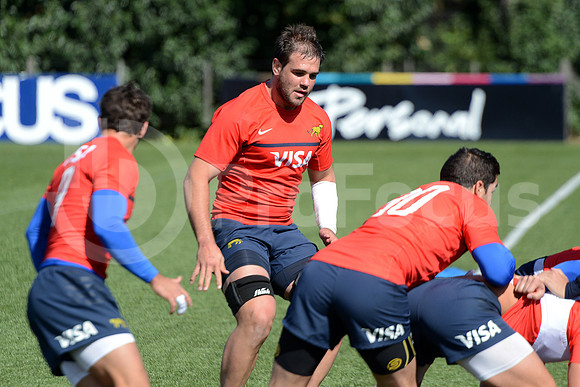 Rugby Championship 2014.
