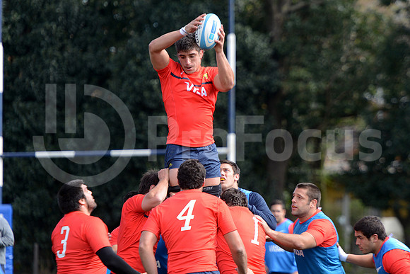 Rugby Championship 2014.