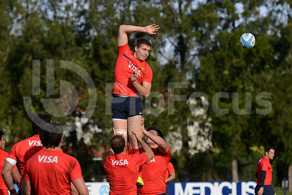 Rugby Championship 2014.