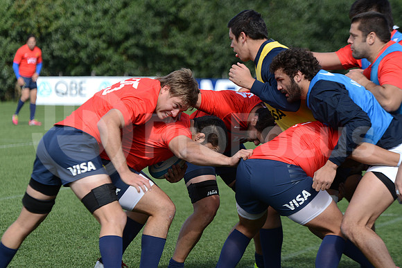 Rugby Championship 2014.