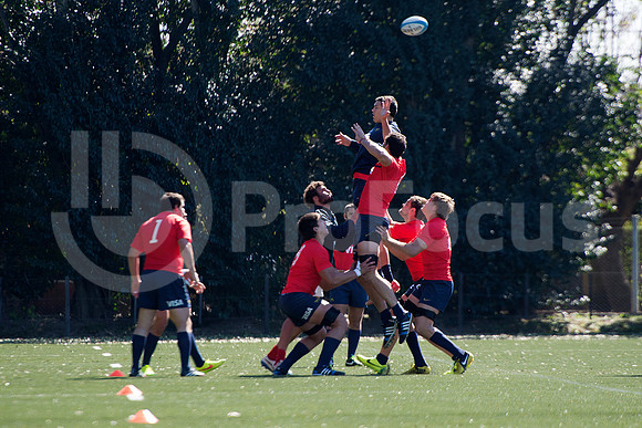 Rugby Championship 2014.