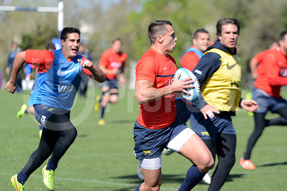 Rugby Championship 2014.