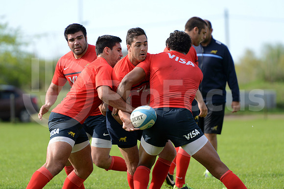 Rugby Championship 2014.