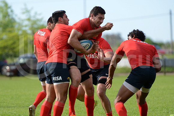 Rugby Championship 2014.