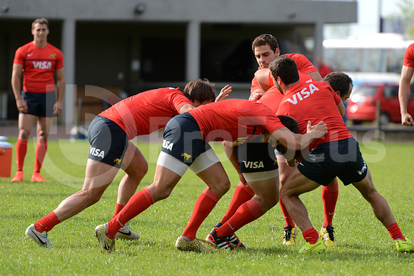 Rugby Championship 2014.
