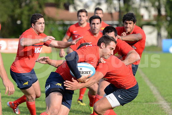 Rugby Championship 2014.
