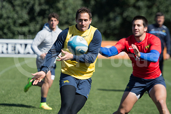 Rugby Championship 2014.