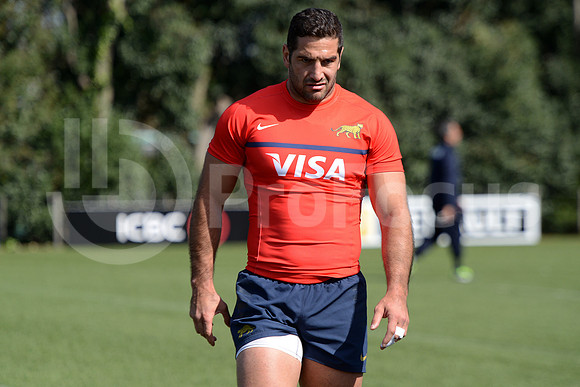 Rugby Championship 2014.