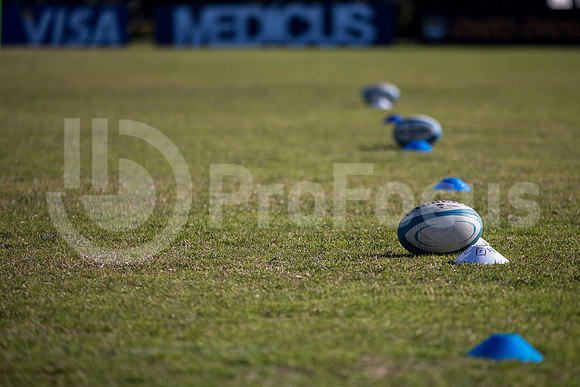 Entrenamiento Pumas 25/7/2013