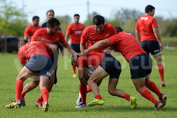 Rugby Championship 2014.