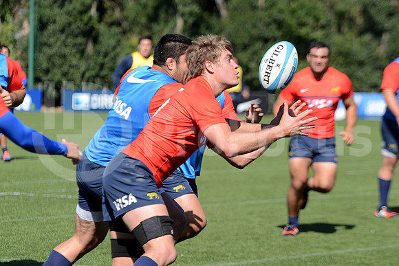 Rugby Championship 2014.