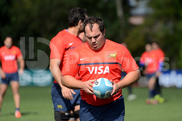 Rugby Championship 2014.