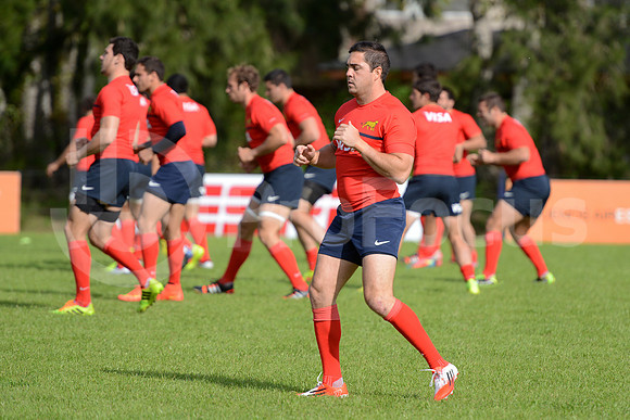 Rugby Championship 2014.
