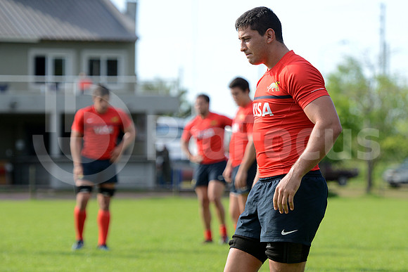 Rugby Championship 2014.