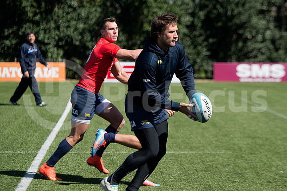 Rugby Championship 2014.
