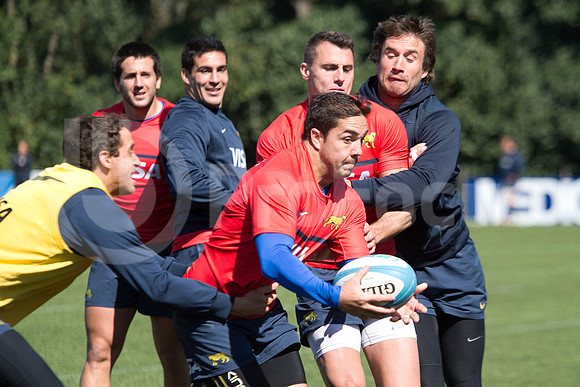 Rugby Championship 2014.