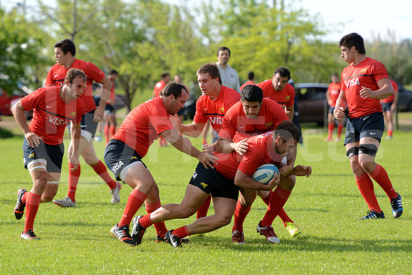 Rugby Championship 2014.