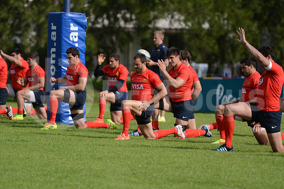 Rugby Championship 2014.