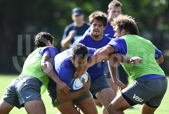 Entrenamiento Argentina XV pretemporada 2018.