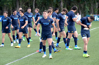 ENTRENAMIENTO AGOSTO 2015