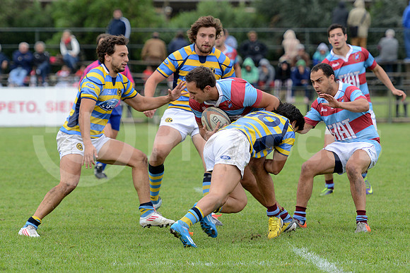 Seven URBA 2014