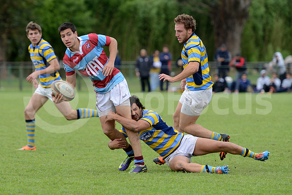 Seven URBA 2014