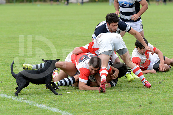 Seven URBA 2014
