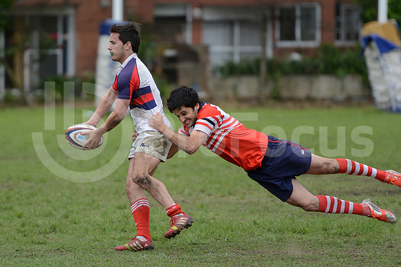 Seven URBA 2014