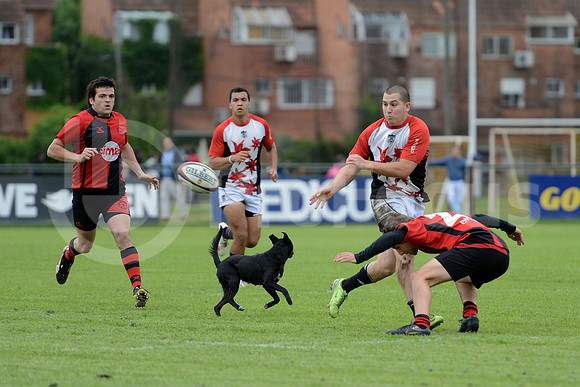 Seven URBA 2014