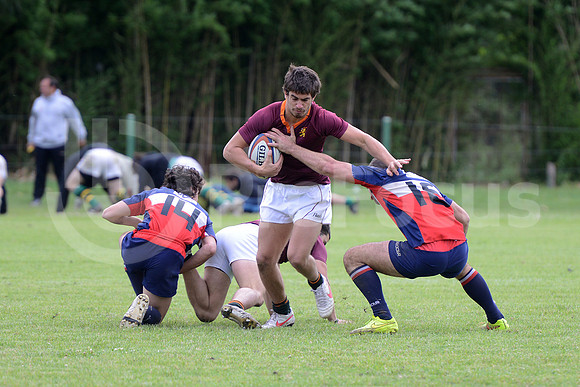 Seven URBA 2014